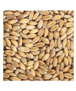 Seeds germinate - Spelt BIO, 200 g